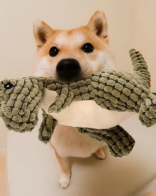 Dino Dog Toy