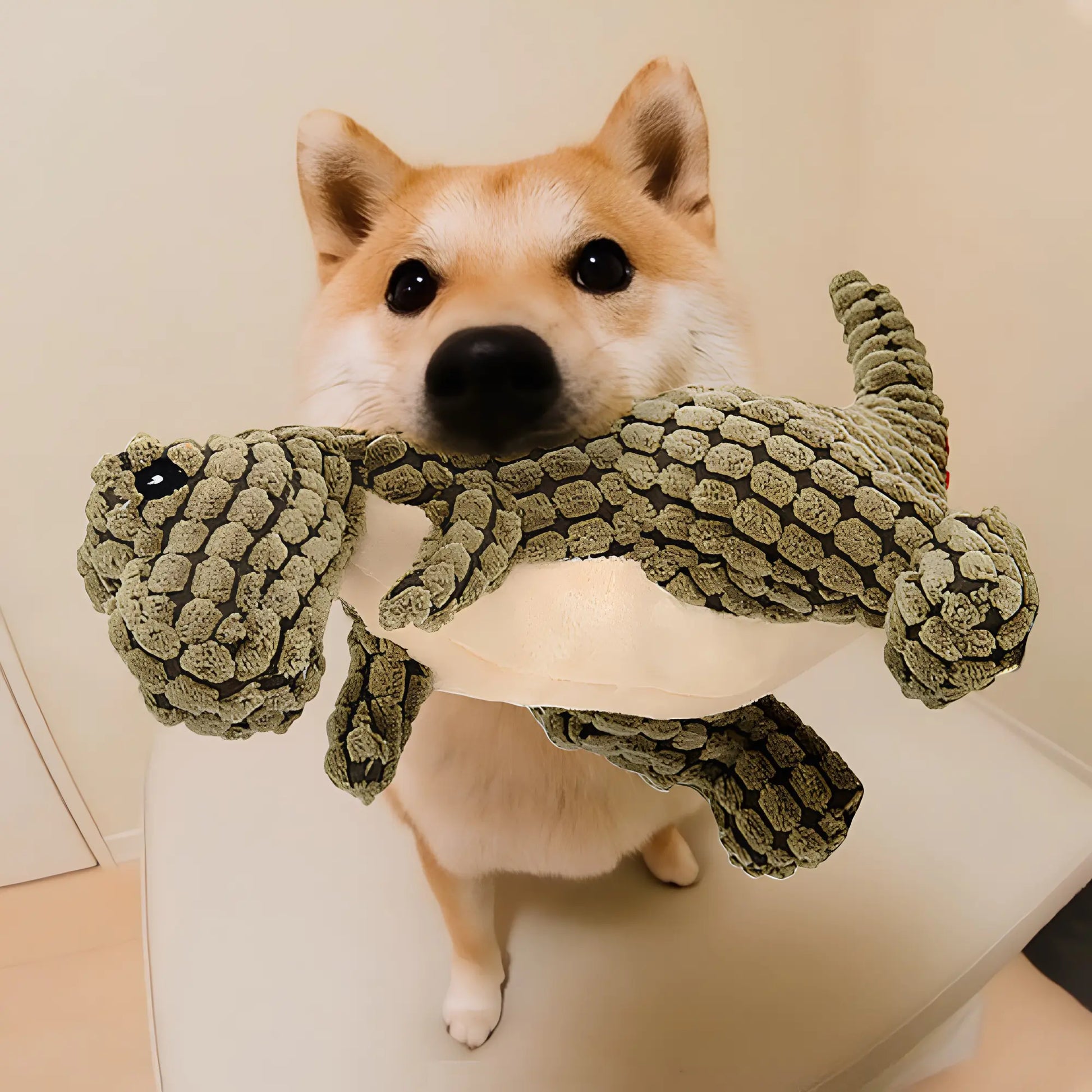 Dino Dog Toy