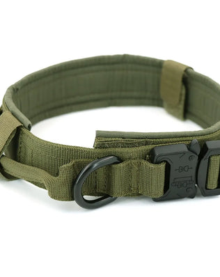 Buy the Collar or the Combo