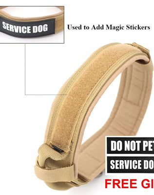 Buy the Collar or the Combo