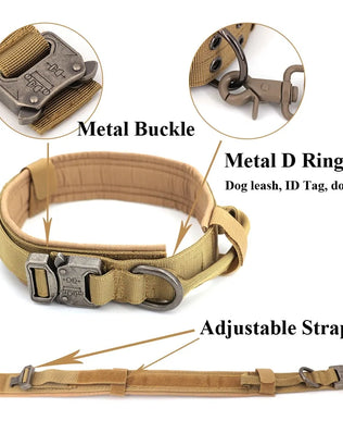 Buy the Collar or the Combo