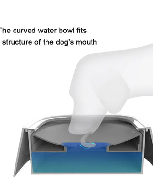 Portable Dog Bowl