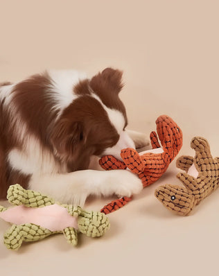 Dino Dog Toy